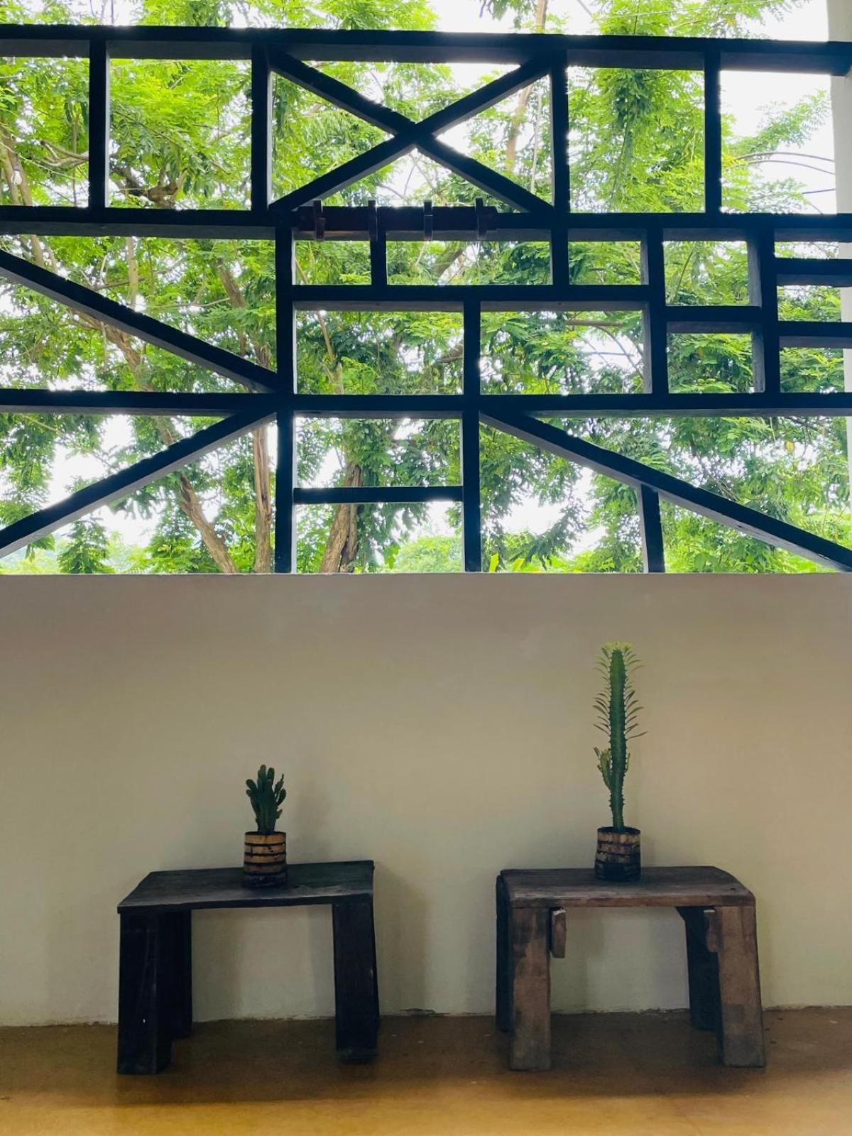Hostal Luz De Luna ปาโลมิโน ภายนอก รูปภาพ