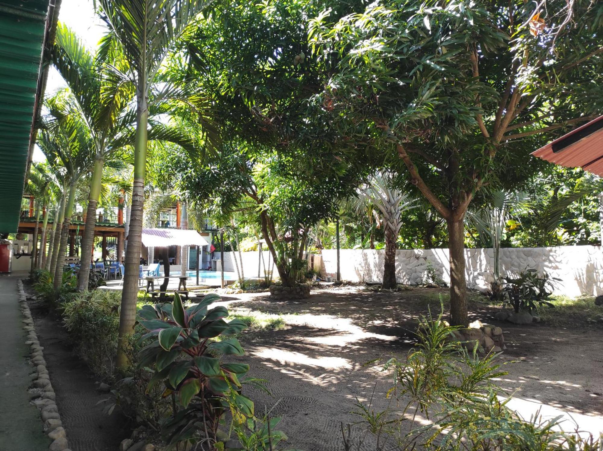 Hostal Luz De Luna ปาโลมิโน ภายนอก รูปภาพ