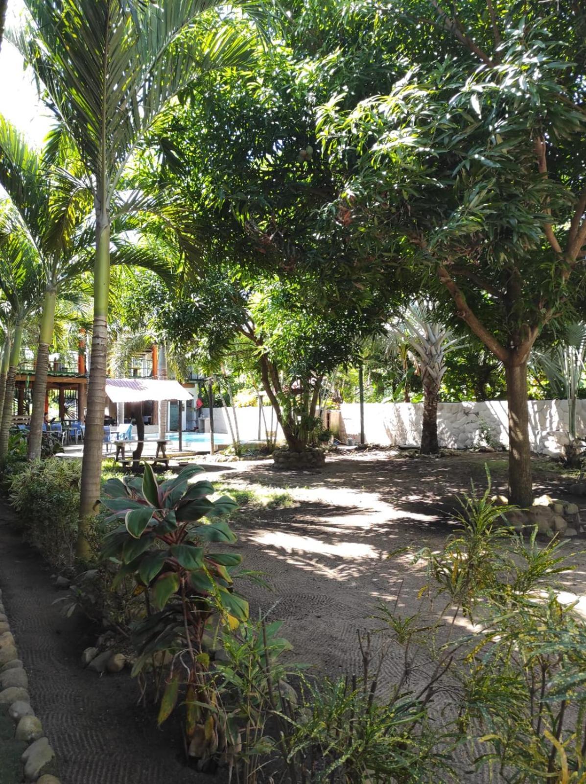 Hostal Luz De Luna ปาโลมิโน ภายนอก รูปภาพ