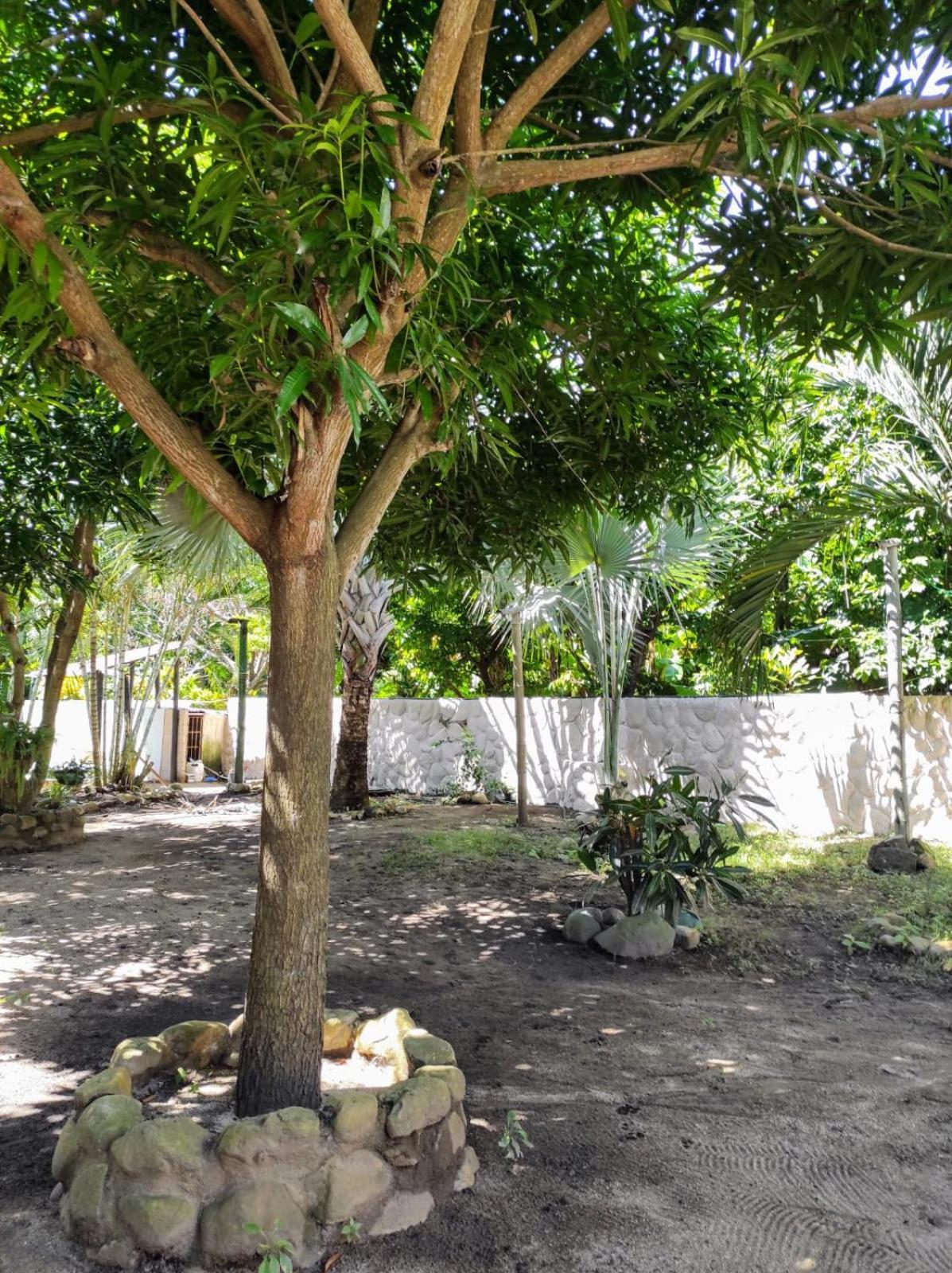 Hostal Luz De Luna ปาโลมิโน ภายนอก รูปภาพ